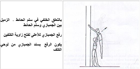 صورة المقال